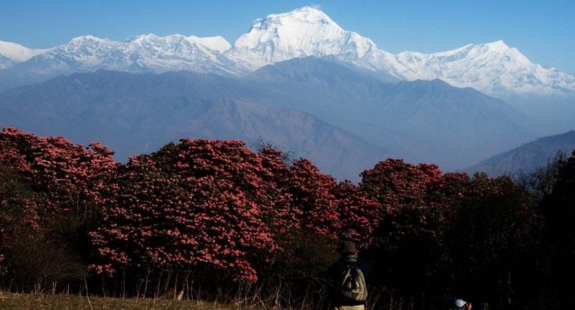 annapurna short trek