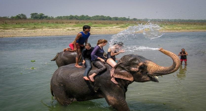 chitwan tour