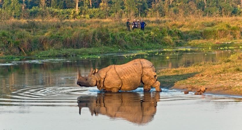 bathing gainda